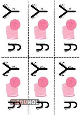 Y sesi deftere yapıştırma