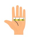 L sesi el