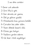 Ş sesi dikte cümleleri