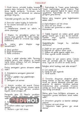 2. Sınıf Paragraf Çalışma Kağıdı