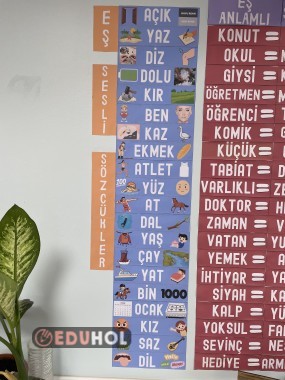 Eş Sesli (Sesteş) Kelimeler Pano Çalışması