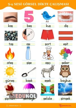 Ş SESİ GÖRSEL DİKTE ÇALIŞMASI
