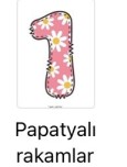 Papatyalı rakamlar