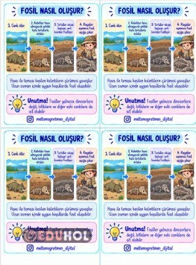 FOSİL OLUŞUMU A4 TE 4 ÖĞRENCİLİK DİNOZOR FOSİLİ