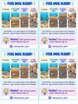 4. SINIF FOSİL OLUŞUMU BALIK FOSİLİ