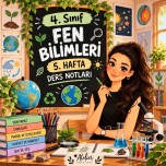 4. SINIF 5. HAFTA FEN BİLİMLERİ DEĞERLENDİRME SORULARI