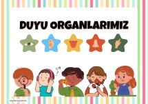 3. SINIF DUYU ORGANLARIMIZ PANO