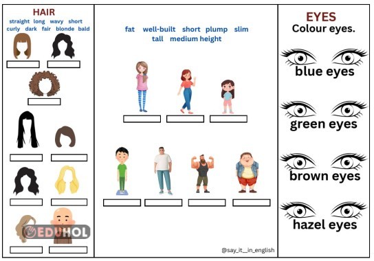 5.3 Physical Features