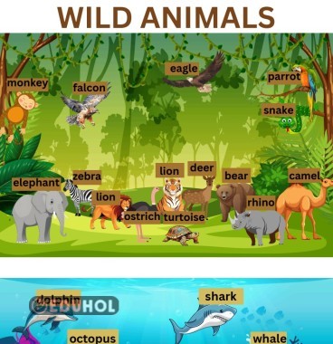 7.4 Wild Animals