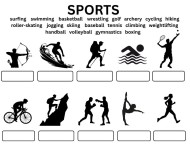 7.2 Sports