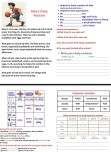 Daily Routines and Frequency Adverbs çalışması