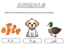Animals