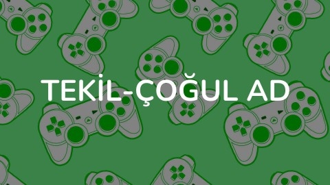 Tekil-Çoğul Ad