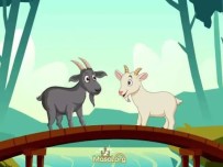 Zıt anlamlı kelimeler