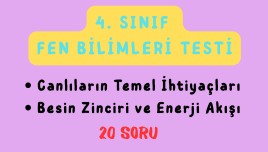 4. Sınıf Fen Bilimleri - Canlıların Temel İhtiyaçları, Besin Zinciri ve Enerji Akışı