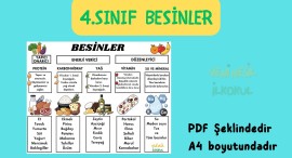 Besin Grupları ve Görevleri Görsel Çalışma Kağıdı