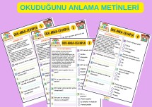 Oku-Anla-Cevapla (Okuduğunu anlama metinleri)
