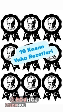 10 KASIM ROZETLERİ
