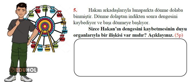 3. SINIF FEN BİLİMLERİ DUYU ORGANLARI SÜREÇ DEĞERLDNİRME