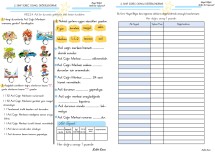 Hayat Bilgisi Süreç Odaklı Değerlendirme Acilse Ne Yaparım?