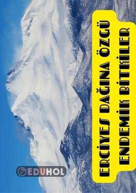 ERCİYES DAĞINA ENDEMİK BİTKİ TÜRLERİ