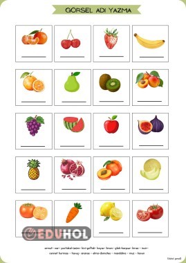 1.sınıf Görseldeki varlığın adını yazma - Meyveler