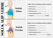 Soluk alıp verme