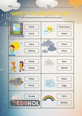 What's the weather like?