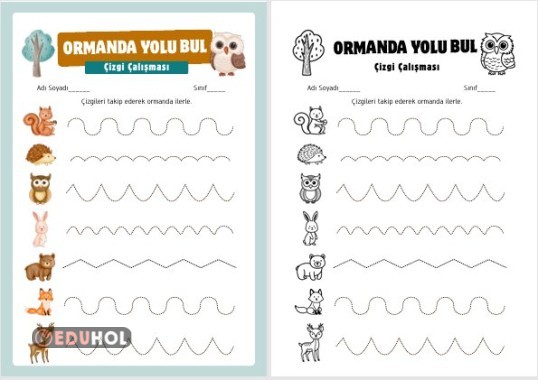 Çizgi çalışması renkli-renksiz