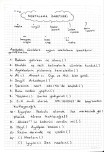 Noktalama işaretleri çalışma sayfası