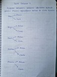 Sözlük çalışması