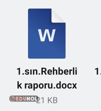 1.SINIF YIL SONU REHBERLİK FAALİYET RAPORU