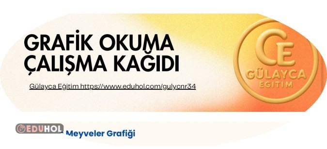 GRAFİK OKUMA ÇALIŞMA KAĞIDI