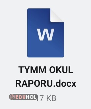 YIL SONU TYMM DEĞERLENDİRME OKUL RAPORU