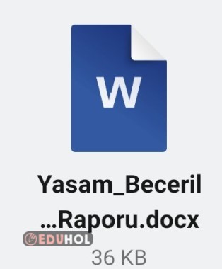 Yıl Sonu Yaşam Becerileri Faaliyet Raporu