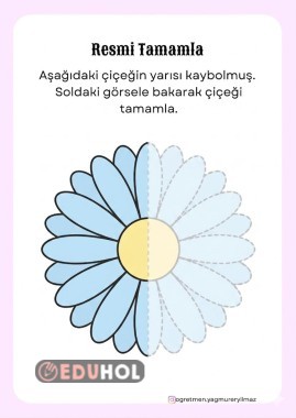 Simetri Çalışması 7 Farklı Görsel- Görseli Tamamlama Etkinliği