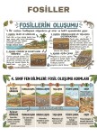 FOSİLLER
