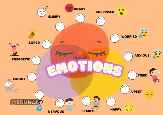 6TH GRADE EMOTIONS MIND MAP