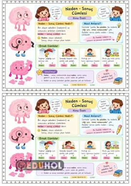 2.Sınıf Neden-Sonuç Cümlesi Özeti