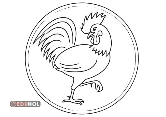 2.sınıf Türkçe Kitabı Horozun Sorumluluğu