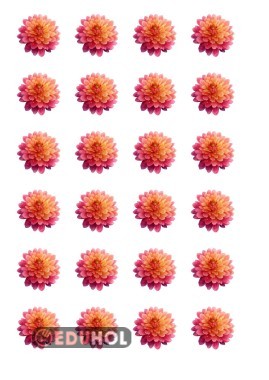 Deftere yapıştırmak için steker çiçekler 🩷💚