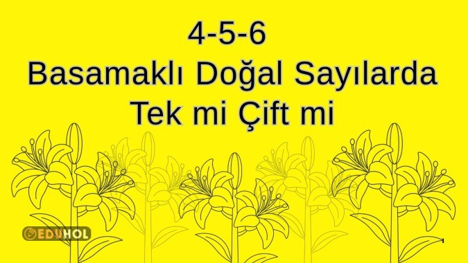 Doğal Sayılarda Tek ve Çift ✔️