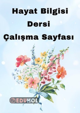 Hayat Bilgisi Çalışma Sayfası