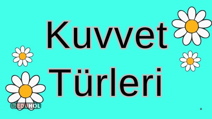 Kuvvet Çeşitleri Soru Kartları ✔️