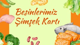 4.Sınıf Besinler Konusu Şimşek Kart