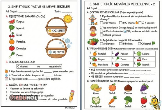 MEVSİMİNE UYGUN BESLENİYORUZ ÇALIŞMA YAPRAĞI