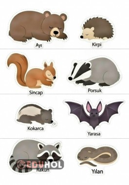 Kış uykusuna yatan hayvanlar