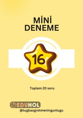 mini deneme 16