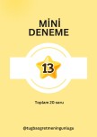 mini deneme 13