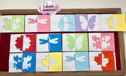 Renkli Simetri Çalışması